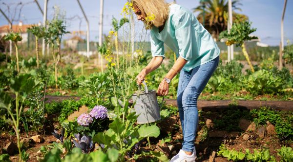 Middle-aged woman watering her garden, staying active while managing double incontinence.